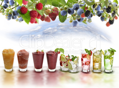 Fruit Drinks Assortment