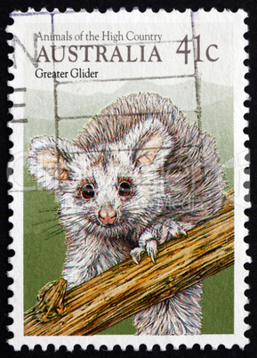 postage stamp australia 1990 greater glider, marsupial mammal