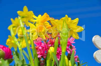 Blumen im Frühling