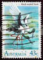 postage stamp australia 1991 black-necked stork
