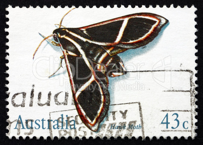 postage stamp australia 1991 hawk moth, insect