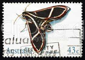 postage stamp australia 1991 hawk moth, insect