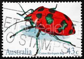 postage stamp australia 1991 cotton harlequin bug