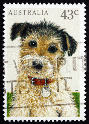postage stamp australia 1991 puppy, pet animal