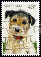 postage stamp australia 1991 puppy, pet animal