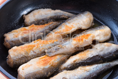 herrings