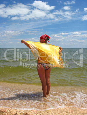 the girl standing at the seacoast