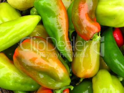 Crop of multi-coloured Bulgarian sweet pepper