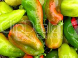 Crop of multi-coloured Bulgarian sweet pepper
