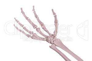 hand of bones