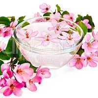 Apple pink blossom in a cup of water