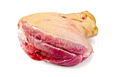 Meat pork knuckle