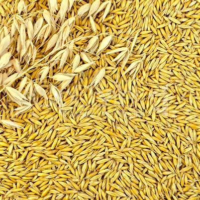 Texture from oat grains with stalks