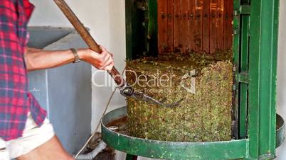 farmer working with  the wine press