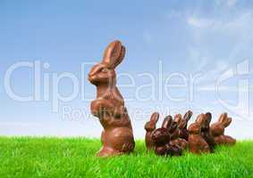 Chocolate bunny leading