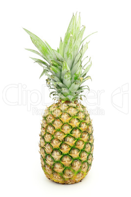 Pineapple with leaves