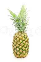 Pineapple with leaves