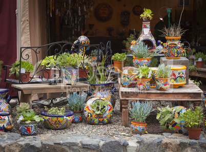 Outdoor Shop of Decorative Pots and Succulents