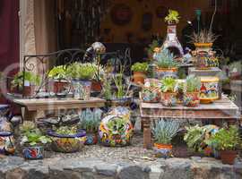 Outdoor Shop of Decorative Pots and Succulents
