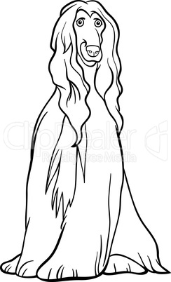 afghan hound dog cartoon for coloring book