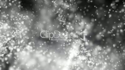 Snowflakes, Shallow Depth Of Field - Intense Snow Seamless Video Loop