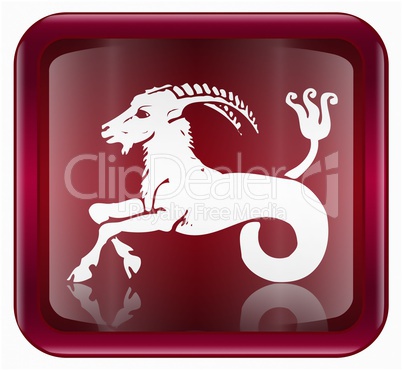 Capricorn zodiac icon red, isolated on white background