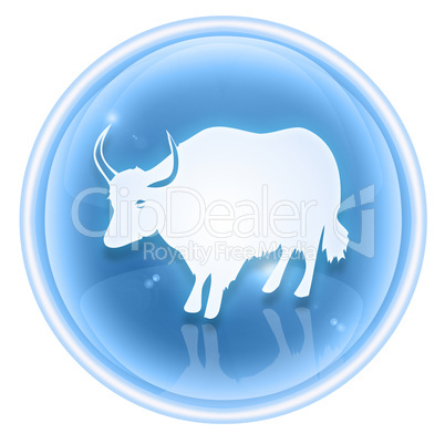 Ox Zodiac icon ice, isolated on white background.