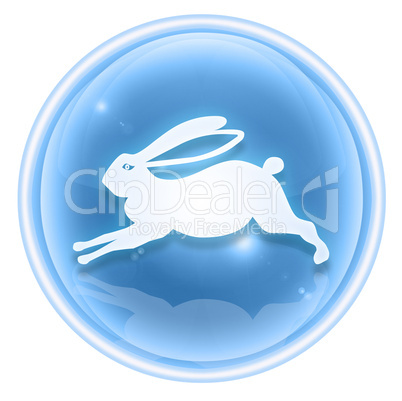 Rabbit Zodiac icon ice, isolated on white background.