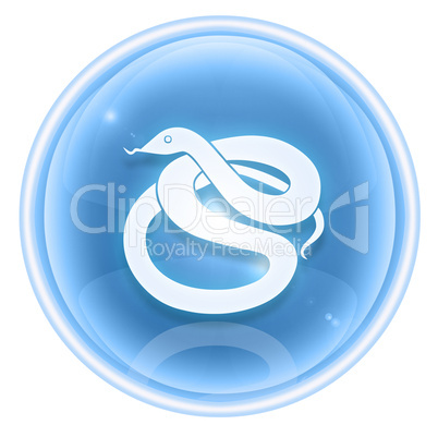Snake Zodiac icon ice, isolated on white background.