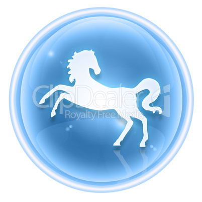 Horse Zodiac icon ice, isolated on white background.