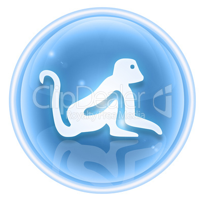 Monkey Zodiac icon ice, isolated on white background.