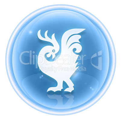 Cock Zodiac icon ice, isolated on white background.