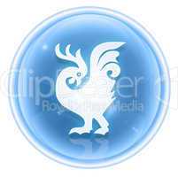 Cock Zodiac icon ice, isolated on white background.