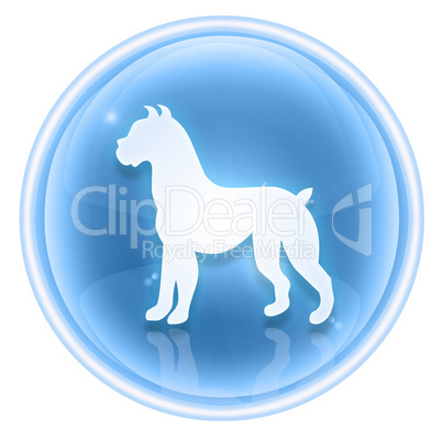 Dog Zodiac icon ice, isolated on white background.