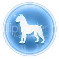 Dog Zodiac icon ice, isolated on white background.