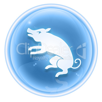 Pig Zodiac icon blue, isolated on white background.