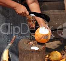 women selling fruits of coconut tree, sri lanka
