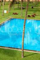 the swimming pool and green lawn at luxury hotel, bentota, sri l