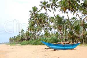the traditional sri lanka's boat for fishing on the beach