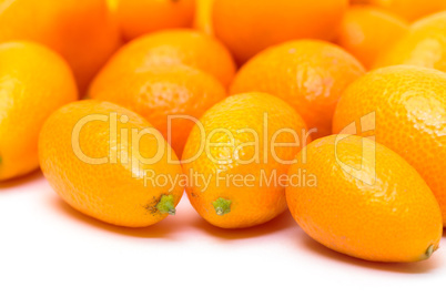 Heap Kumquat fruit (Fortunella) on white background