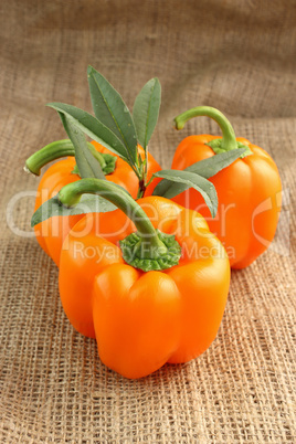 Red sweet pepper