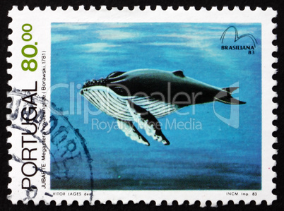 postage stamp portugal 1983 humpback whale, baleen whale