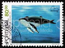 postage stamp portugal 1983 humpback whale, baleen whale