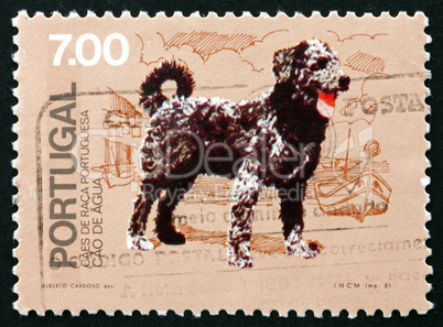postage stamp portugal 1981 cao de agua, breed of dog from portu