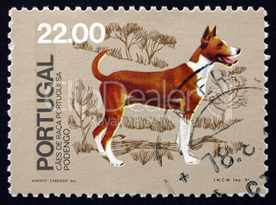 postage stamp portugal 1981 podengo, breed of dog from portugal