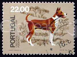postage stamp portugal 1981 podengo, breed of dog from portugal