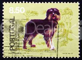 postage stamp portugal 1981 serra de aires, breed of dog from po