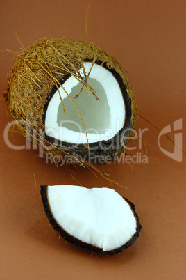 fresh Coconuts