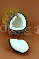 fresh Coconuts