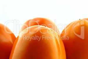 persimmon fruit